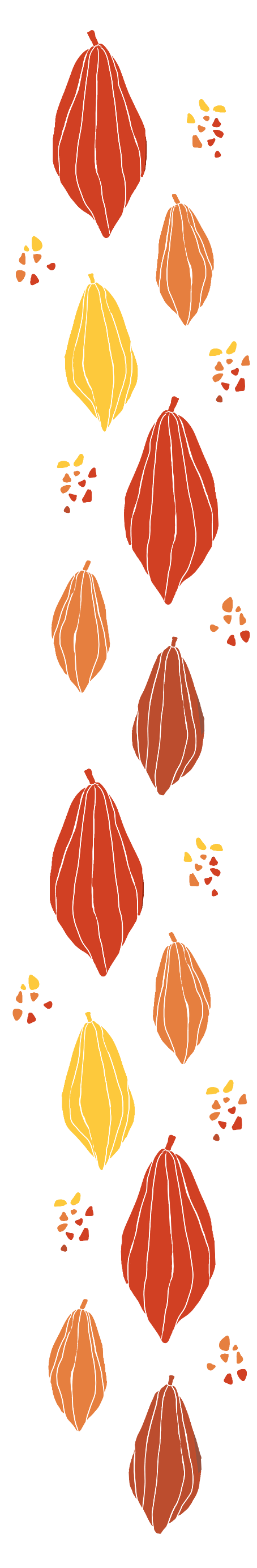 カカオの模様