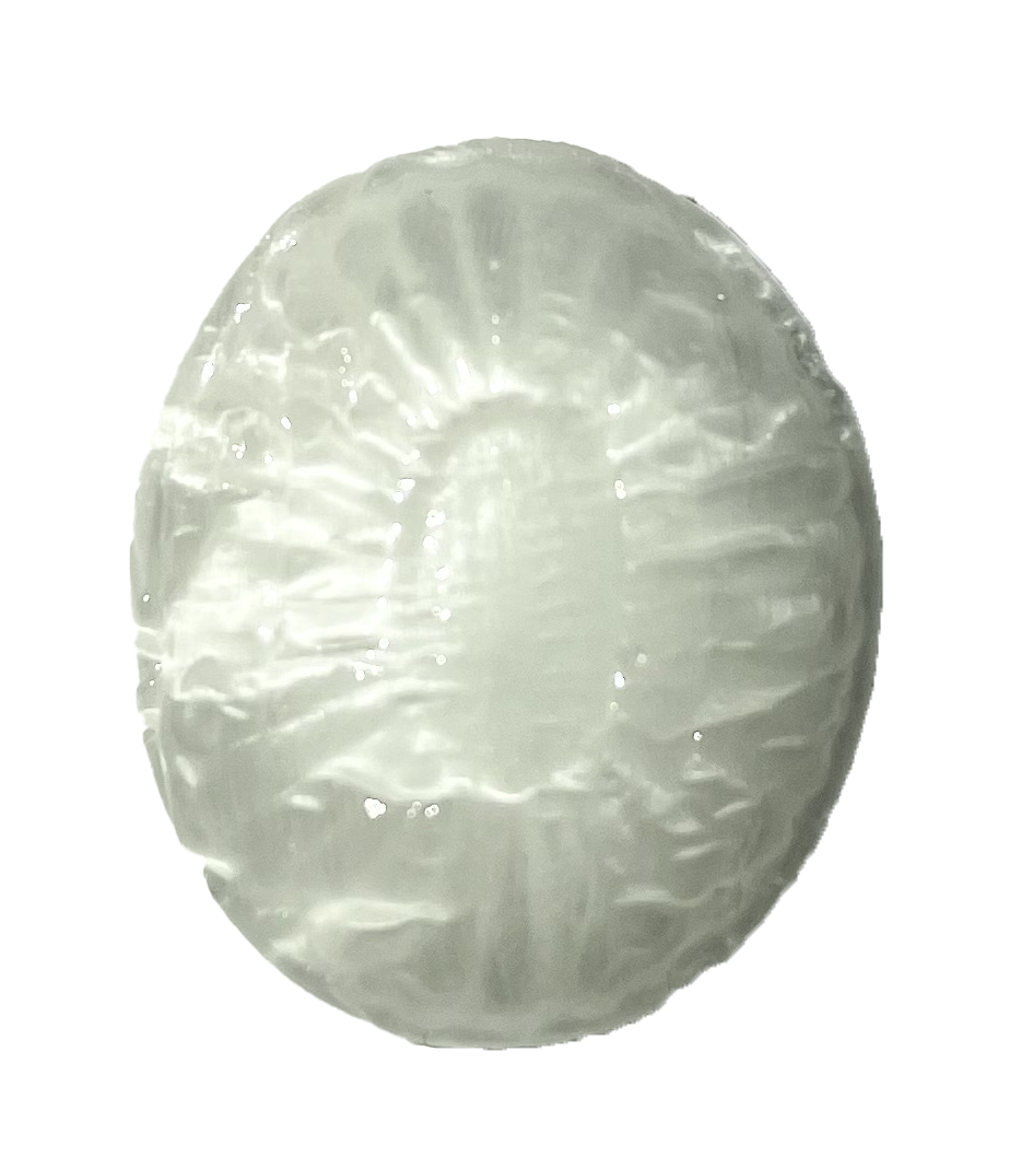 fruit