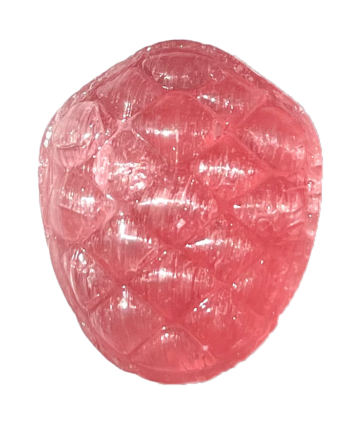 fruit