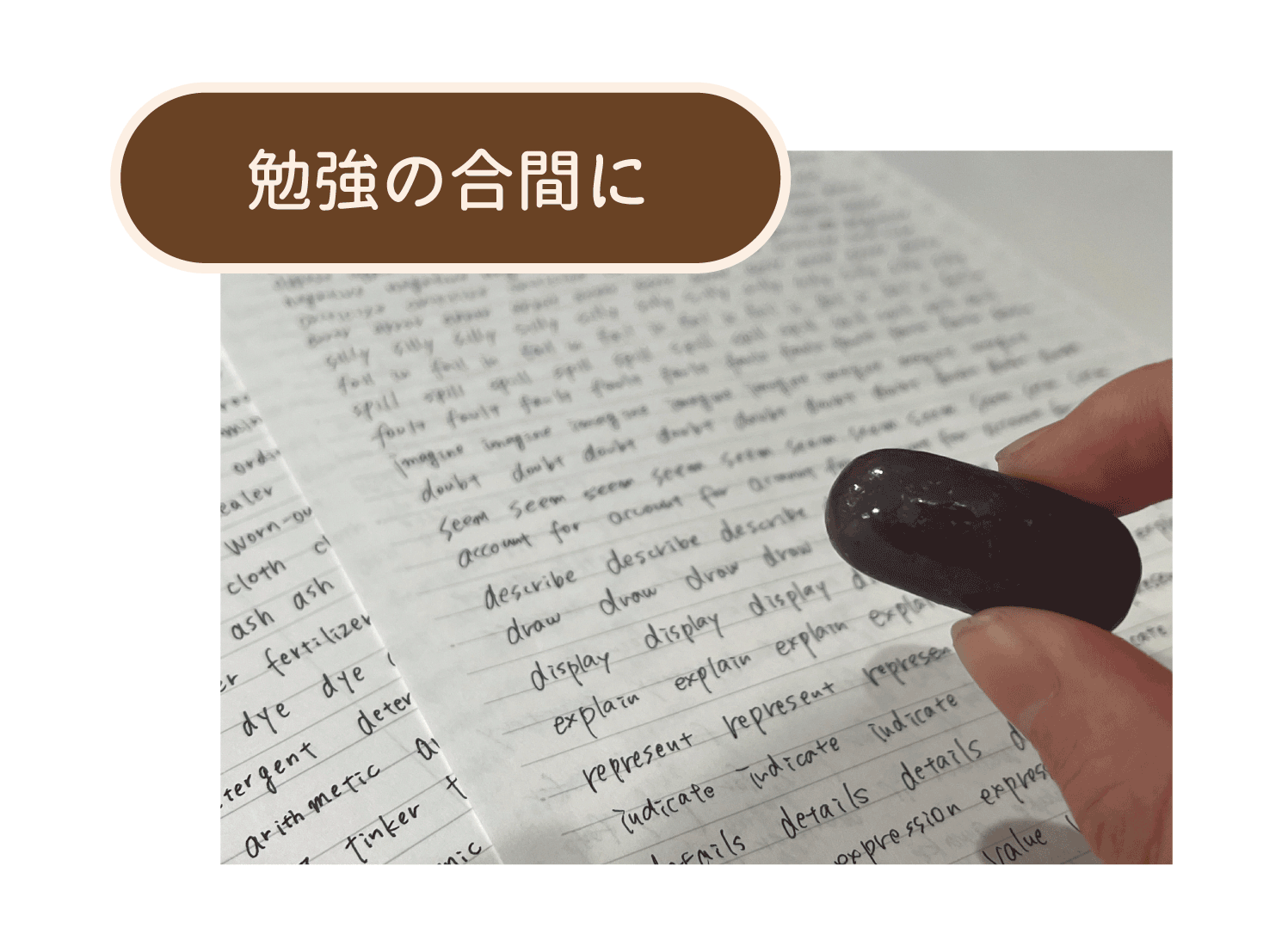 勉強中の写真