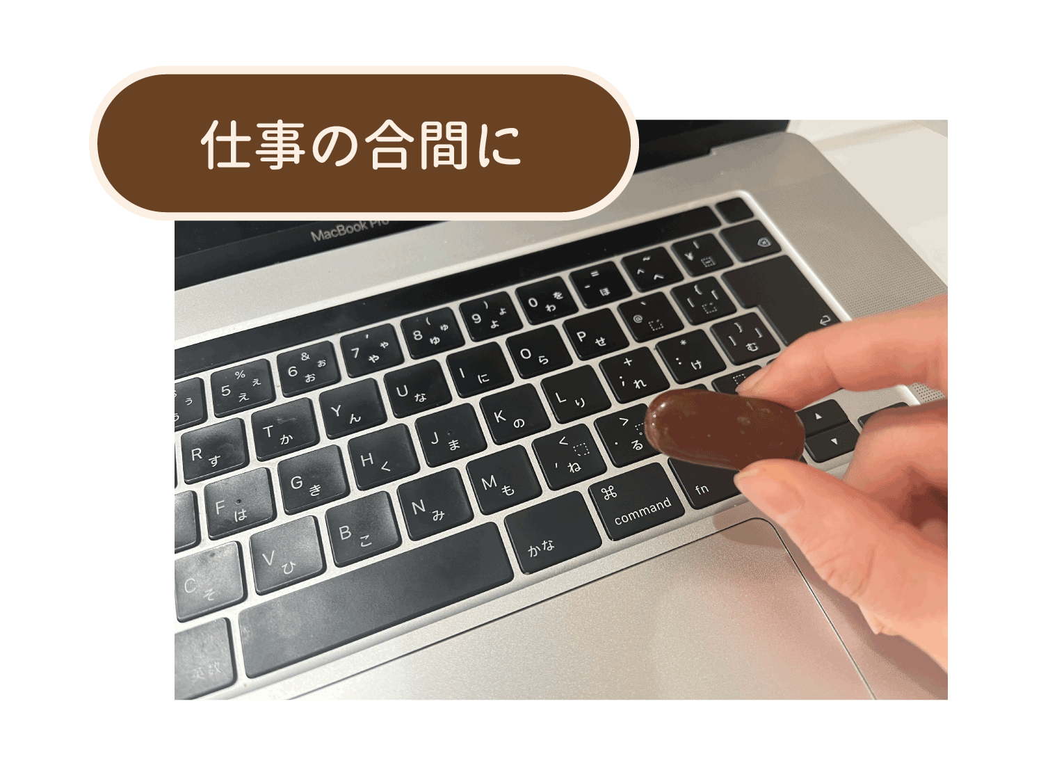 仕事中の写真