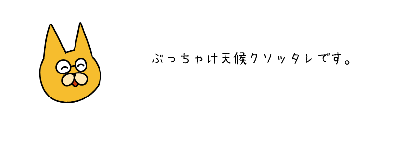 ねこ１０