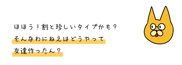 ねこ３