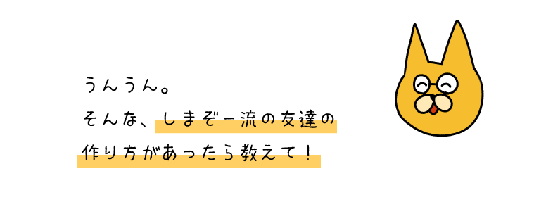 ねこ５