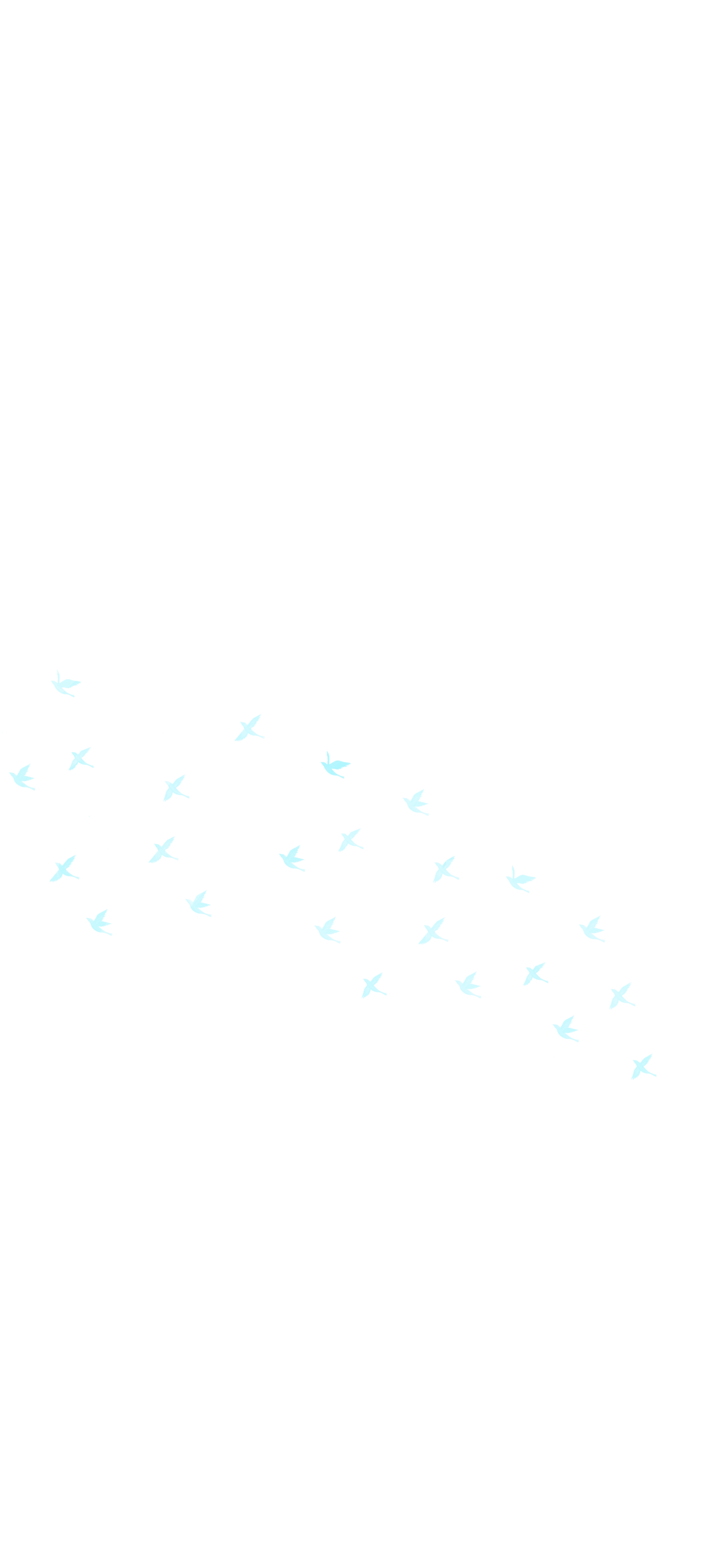 鳥