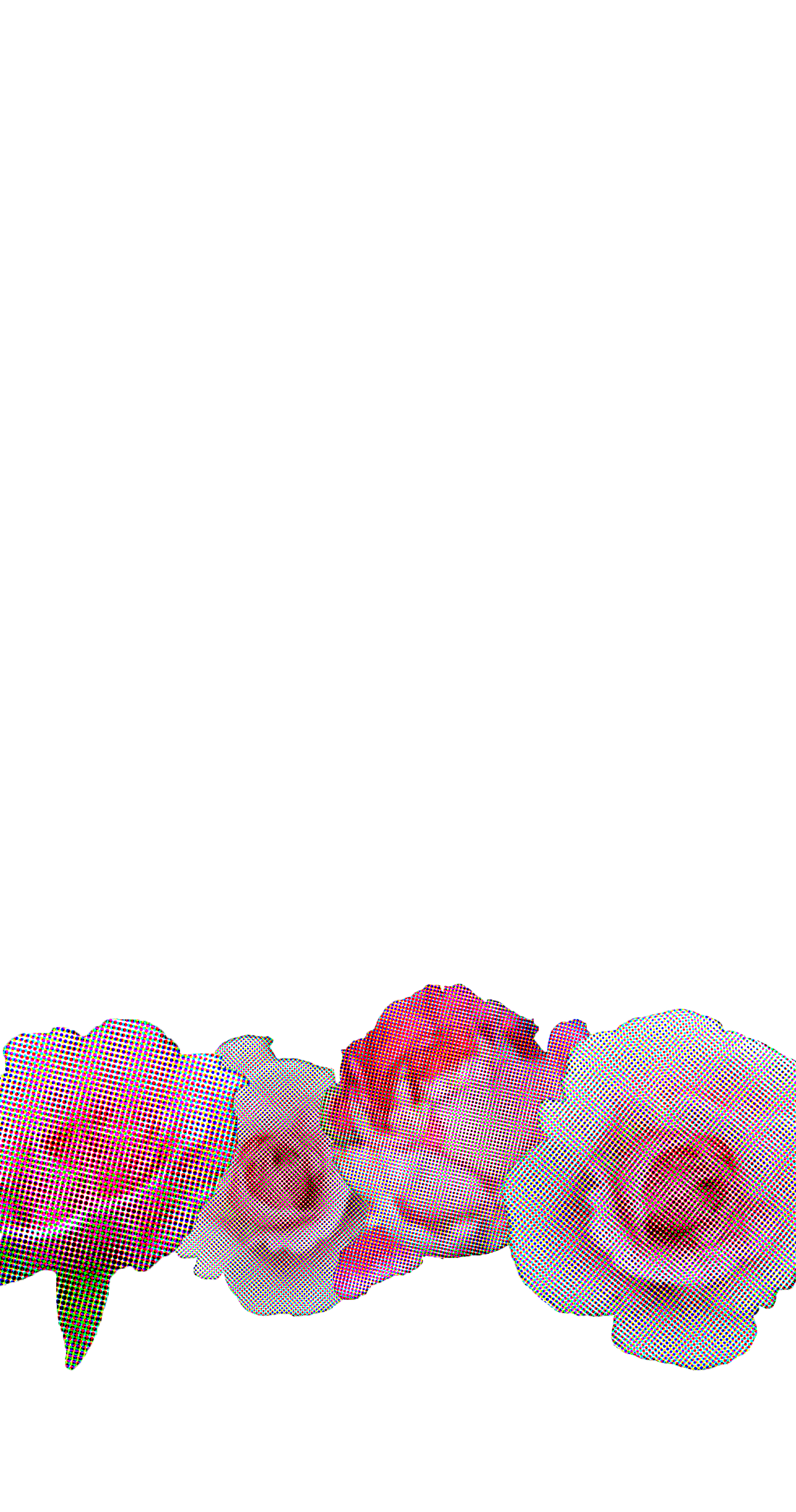 ばら
