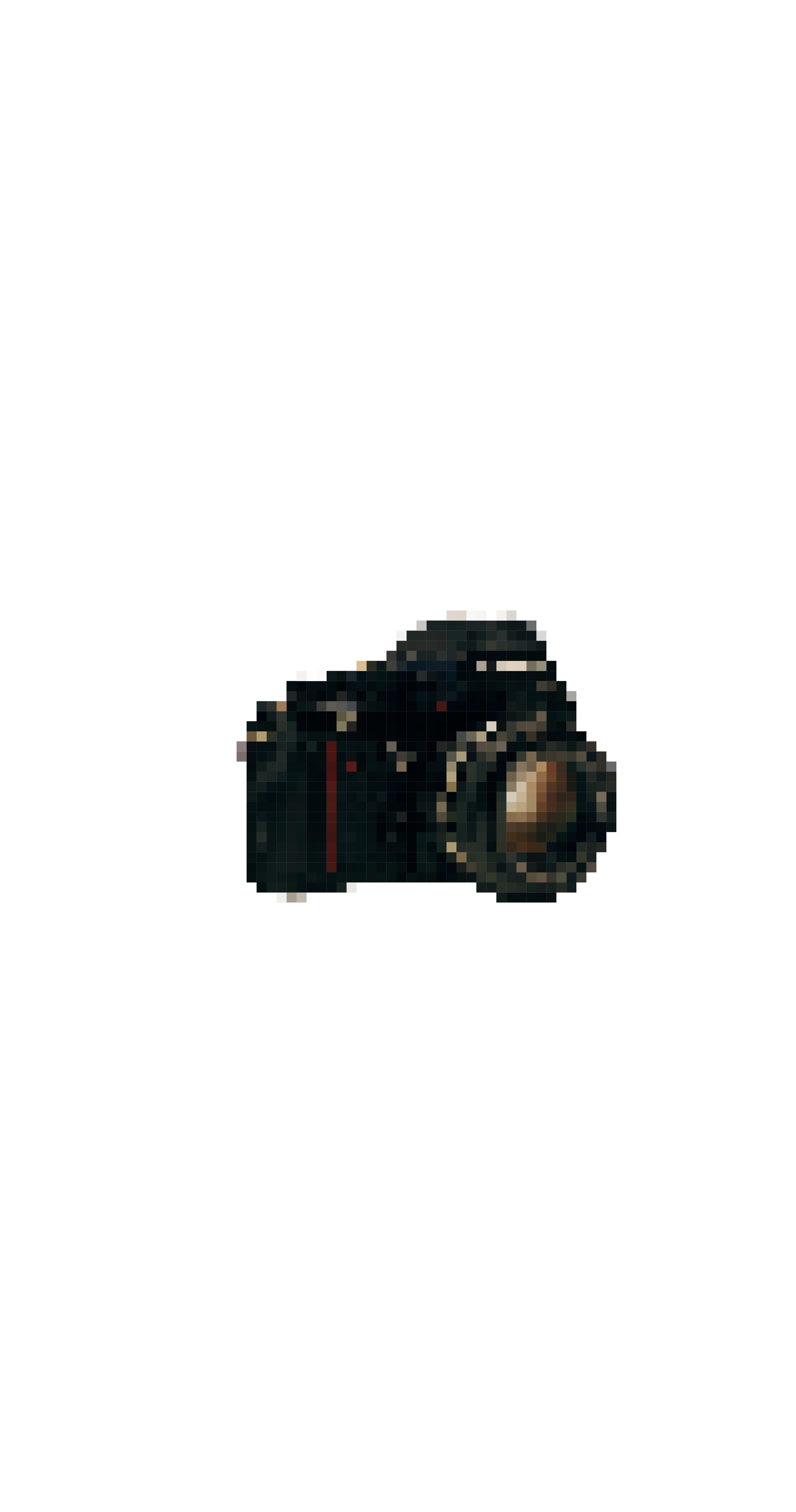 dotcamera