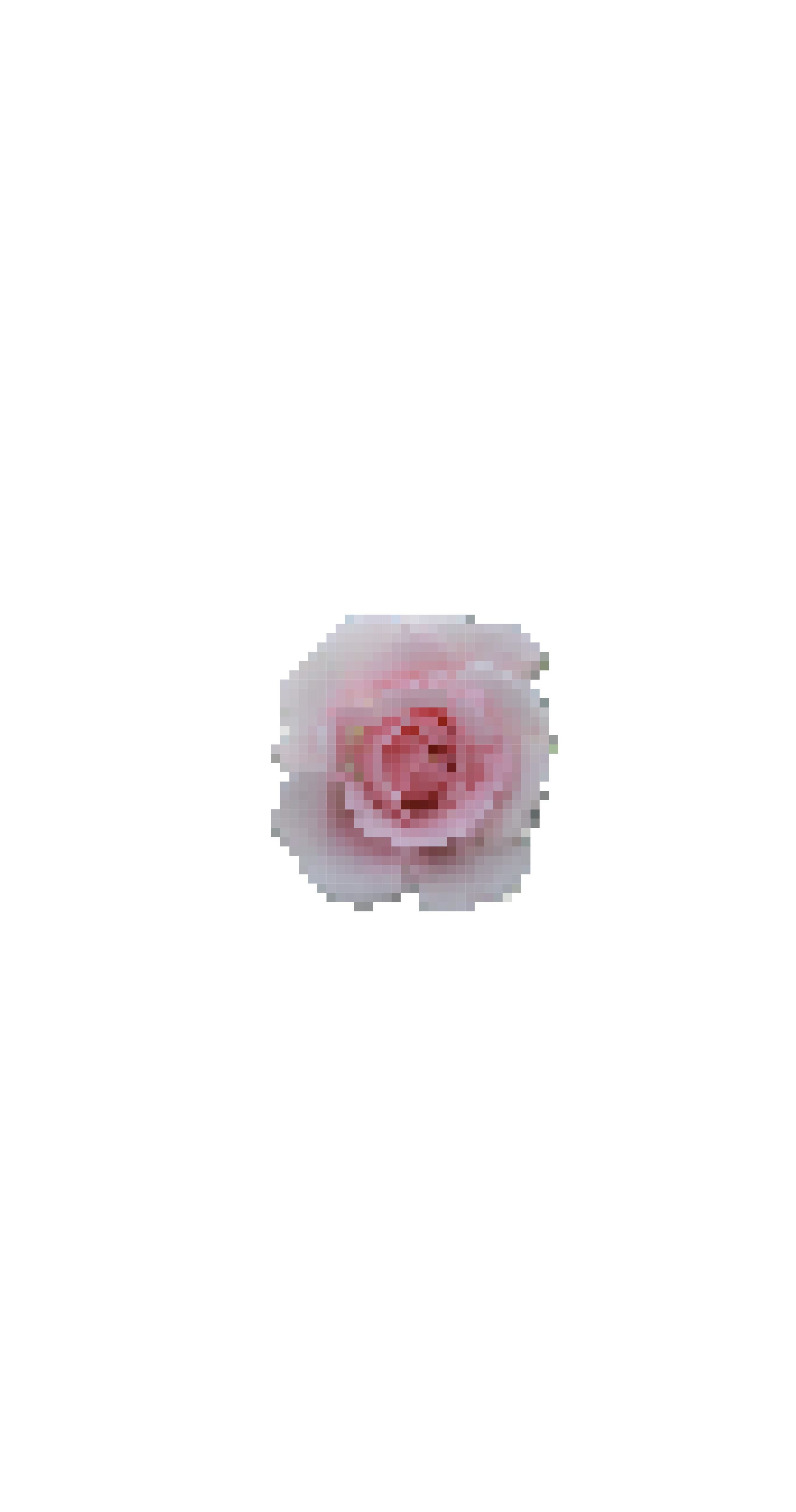 dotbara